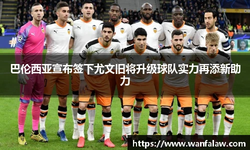 开云电竞平台