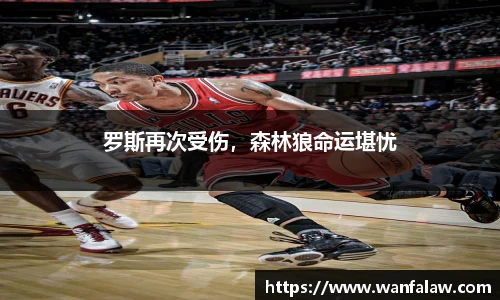 开云电竞官方
