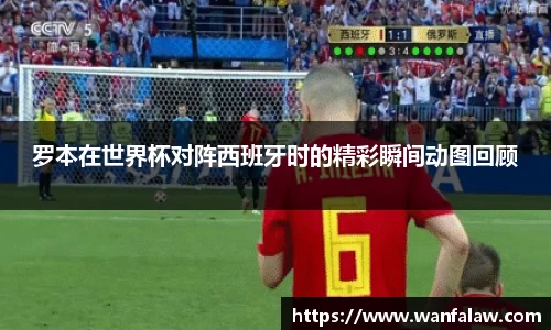 罗本在世界杯对阵西班牙时的精彩瞬间动图回顾